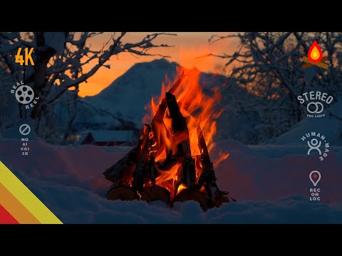 Winter farmscape 🔥 CAMPFIRE (12 hours – mid-roll ads turned off)
