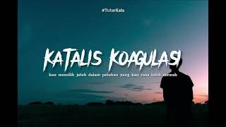Download lagu Kau pembohong, kau pendusta | Musikalisasi puisi wira nagara mp3