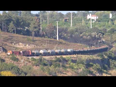 Comboio n.º 75530 - Tancos