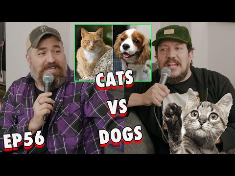 Cats vs Dogs with Brian Quinn aka Q | Sal Vulcano and Joe DeRosa are Taste Buds  |  EP 56