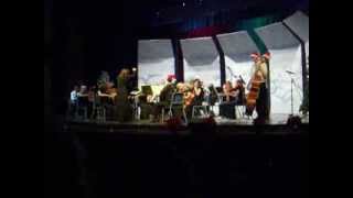 Carol of the Bells by Blue Ridge Chamber Orchestra