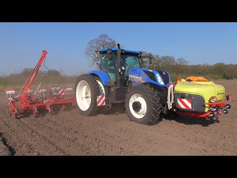 Maislegen mit New Holland & Kverneland