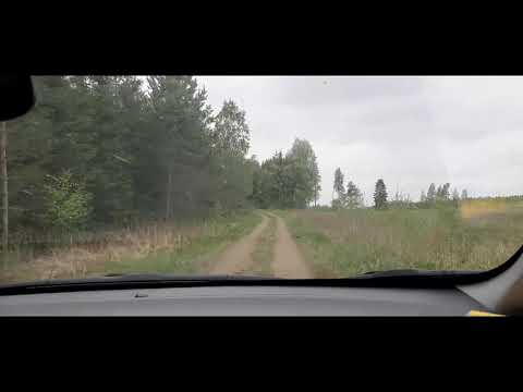 Haukea metsä lammelta