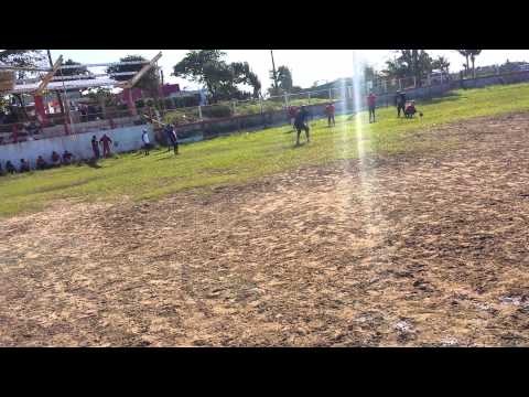 Veracruz Allende Ocelotes vs Linces 01/12/13