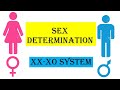 Sex Determination System What Is The XX XO Sex Determination System
