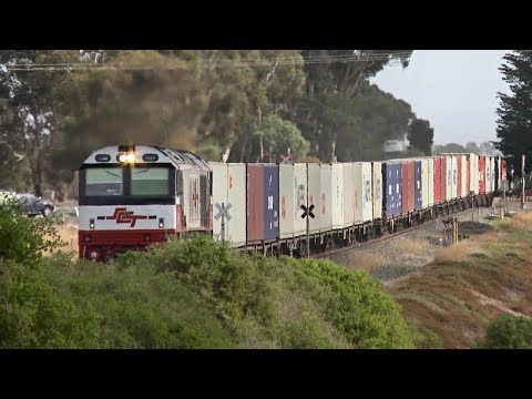 SCT / SBR 7922V "Dooen" Container Train - PoathTV Australian Railways