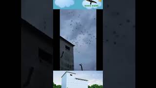 Download lagu rumah walet sukses menggunakan suara walet terbaik mp3