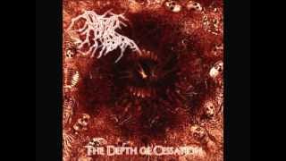 Rotted Rebirth - Embellish The Apex Of Crisis
