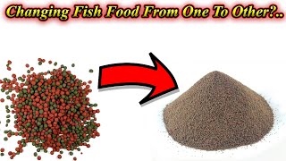 What To Do For Changing Fish Food From One Type To Another Type ? Simple Steps / Fish Aquarium Tamil