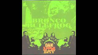 Bronco Bullfrog - I Don&#39;t Need The Sunshine