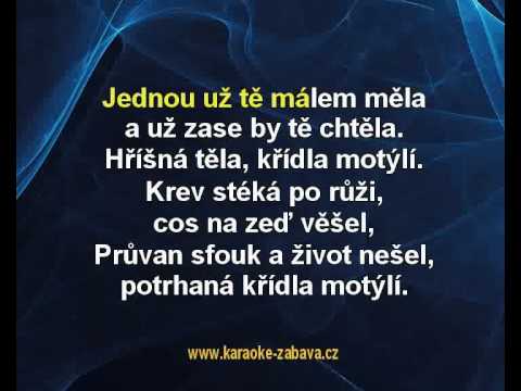 Aneta Langerová - Hříšná těla, křídla motýlí (karaoke z www.karaoke-zabava.cz)