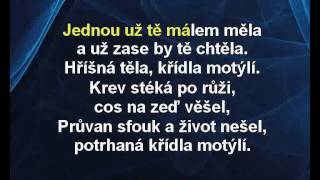 Aneta Langerová - Hříšná těla, křídla motýlí (karaoke z www.karaoke-zabava.cz) Aneta Langerová - Hříšná těla, křídla motýlí (karaoke z www.karaoke-zabava.cz)