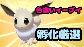 【色違い厳選】夢にまで見た君を求めて…　【ポケモン剣盾】