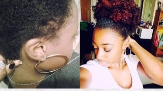 2 Year Natural Hair Journey (4A)