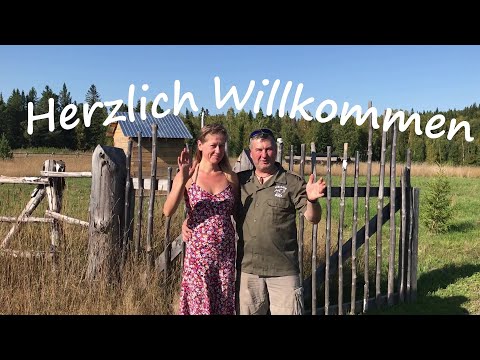 Urlaub beim Sibirienwolf Urlaub beim Sibirienwolf