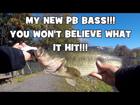 You WON'T BELIEVE What my NEW PB LM BASS HIT!!! (Yardley, PA)
