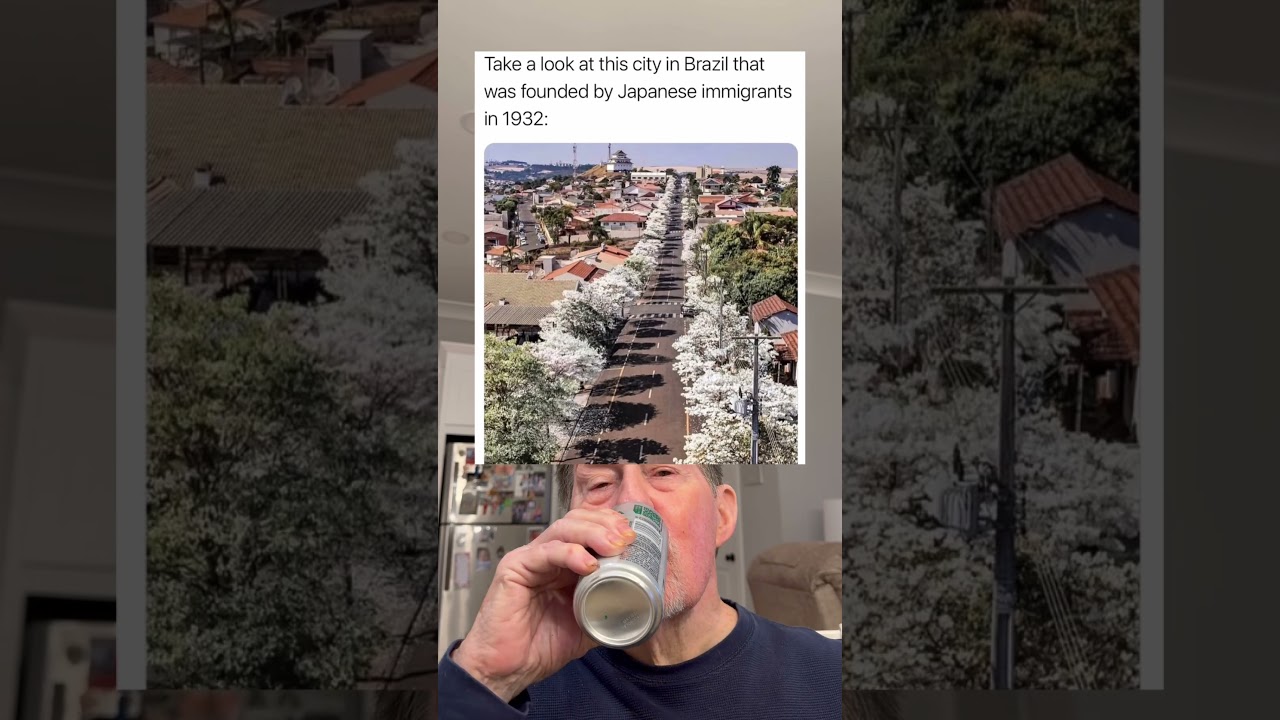 Take A Look At This City in Brazil That Was Founded By Japanese Immigrants in 1932.