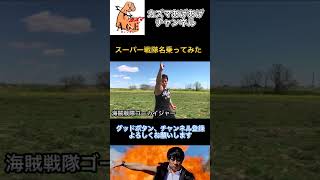 【名乗ってみた】海賊戦隊ゴーカイジャー【スーパー戦隊】