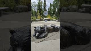 デナリ国立公園へ！#denalinationalpark #drivingalaska #アラスカ旅 #デナリ国立公園 #アラスカの自然