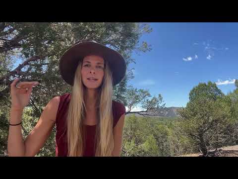 The Role of Noya Rao in Supporting Our Collective Awakening