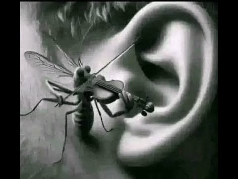 all clash royale audios (diddy, shampiss etc)