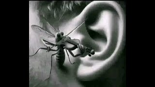 all clash royale audios (diddy, shampiss etc)