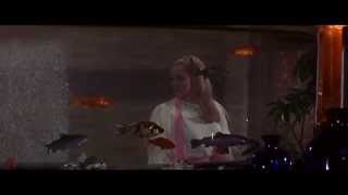 The Look of Love from Casino Royale