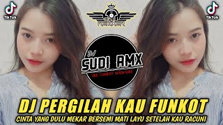 Download lagu DJ PERGILAH KAU - LARISA FUNKOT TERBARU 2024 | DJ CINTA YANG DULU MEKAR BERSEMI FUNKOT | DJ SUDI RMX mp3
