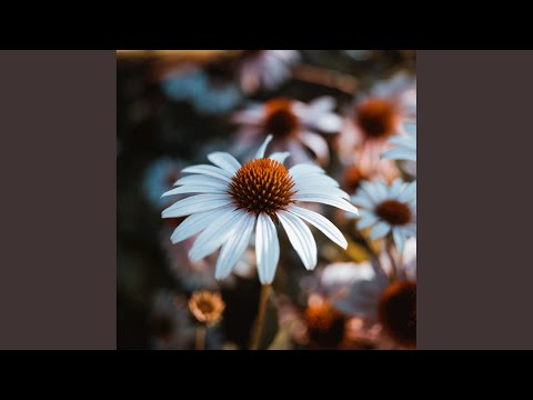 A Matter of Shape (Original Mix)