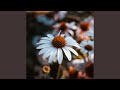 A Matter of Shape (Original Mix)