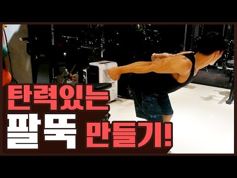 군살없이 탄력있는 팔뚝 만들기!