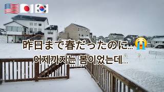 【日韓夫婦アメリカ生活🇺🇸】気まぐれな天気に振り回される日常 / 娘の誕生日 / 大福作りへ挑戦  p.184