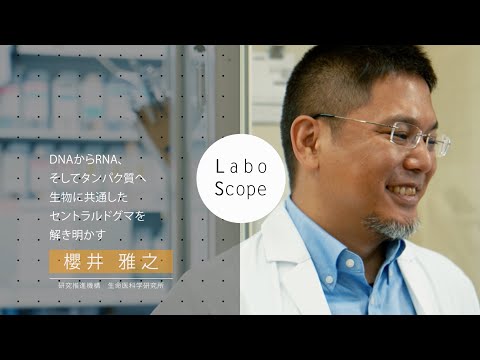 Labo Scope（研究推進機構 生命医科学研究所 櫻井研究室）