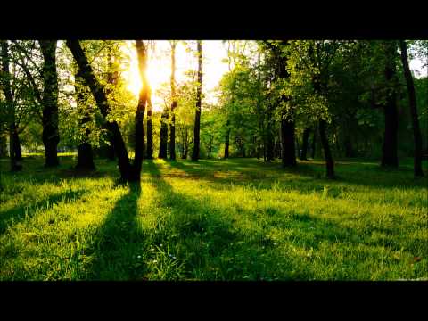 Ivan Gough & Feenixpawl - In My Mind (Axwell Mix) [HD]