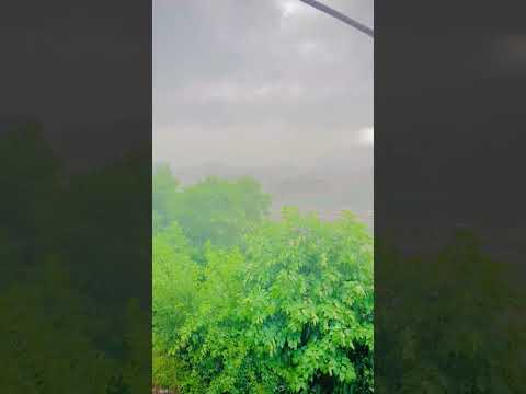 #viral #subscribe #nature #reels #love ❤️❤️