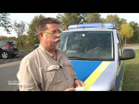 Jagd auf Fälscher: Unechten Dokumenten auf der Spur Doku (2019)