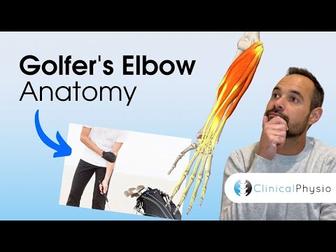Golfer's Elbow Anatomy | Expert Physio Review