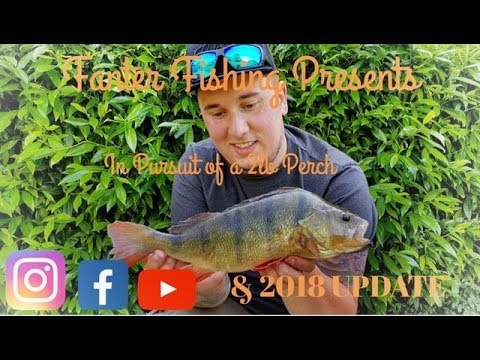 Fanter Fishing Ep 5 (&2018 update) in pursuit of a 2lb perch, River Stort fishing dropshot tutorial
