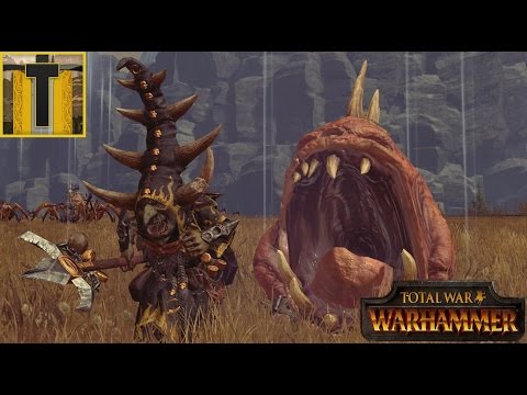 Warhammer: Multiplayer Battle #186- 2v2 An odd alliance