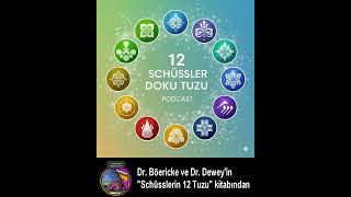 Schüssler Tuzları