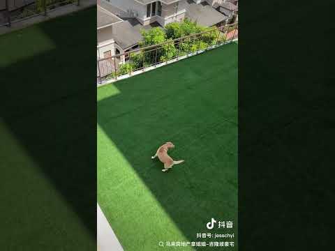 槟城海景别墅【香港老洋房】
