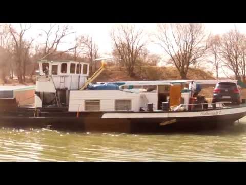 Hund Spike liefert sich ein Rennen mit Binnenschiff