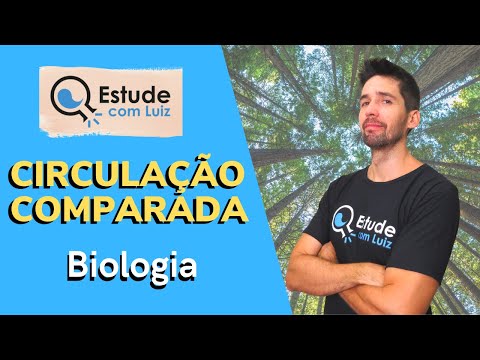 ENEM 2022 | Circulação comparada | Biologia | JJ
