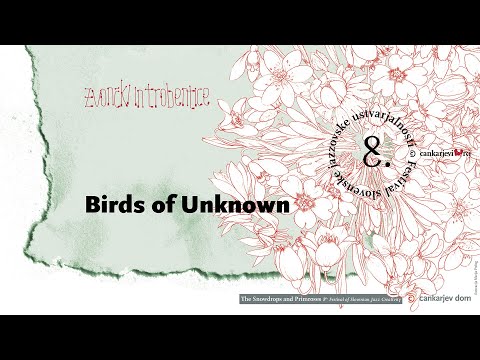Birds of Unknown // Cankarjev dom live