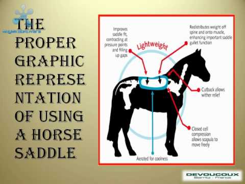 Devoucoux - The Famous Brand Name of Horse Saddles