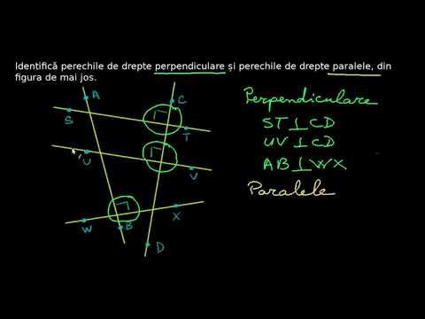 Identificăm drepte paralele și drepte perpendiculare