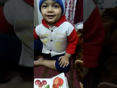 Fruits Name For Toddlers || Learn Fruits Name With Akshaj || It's Study Time 😁🥰😀