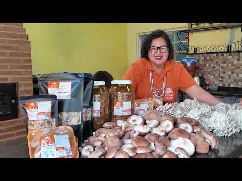 Have you ever stopped to think about the interesting facts surrounding mushrooms? 🍄