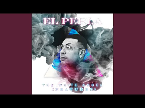 Gata calle gata linda