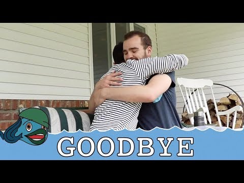 Thumbnail for Day 34: Final Update by School of Fish